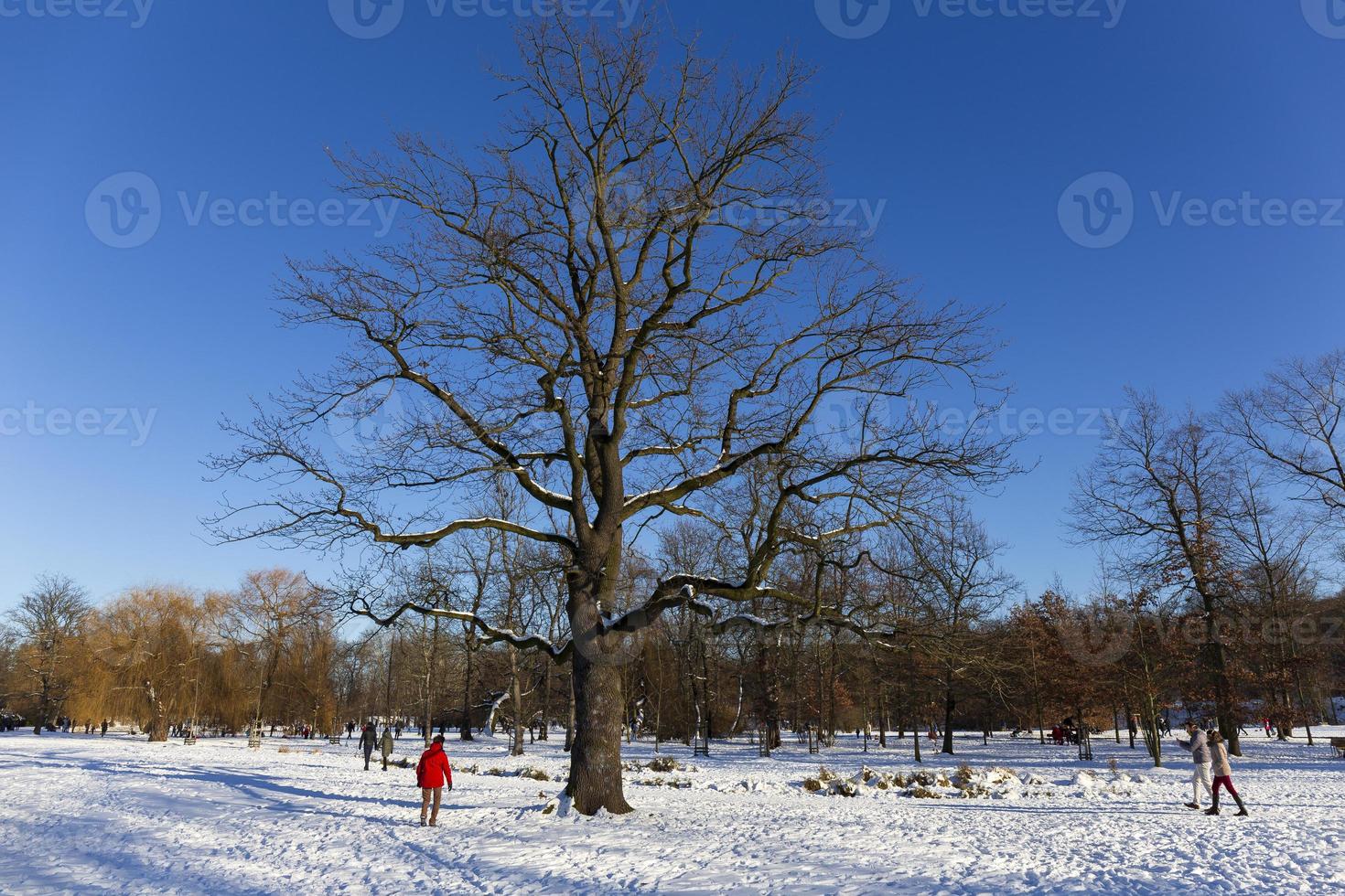 The largest Park in Prague Stromovka in the snowy Winter photo