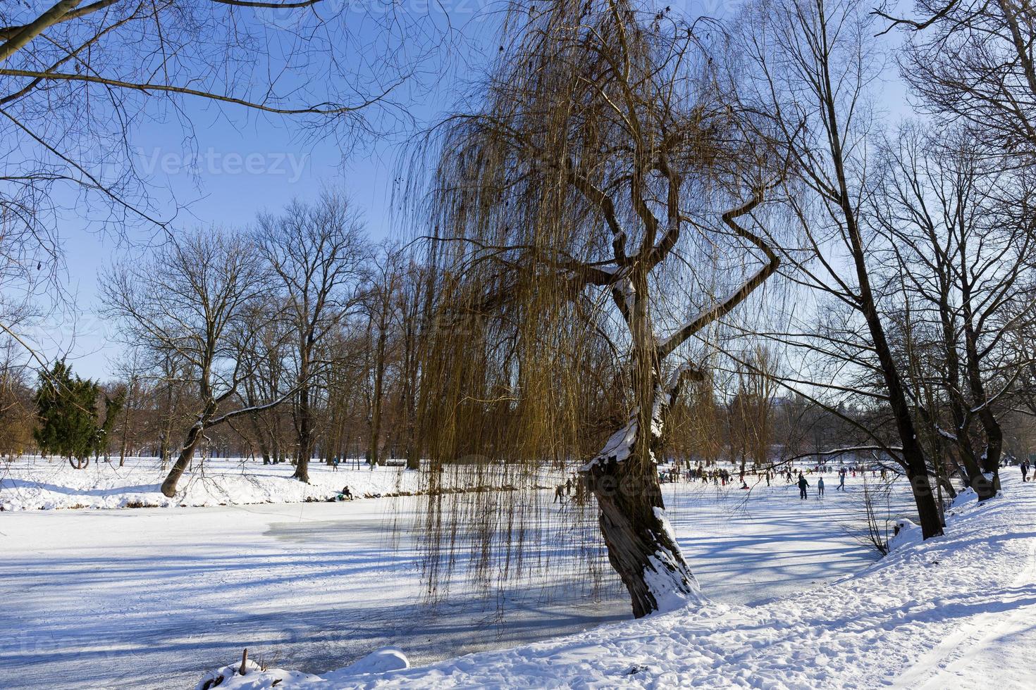 el parque más grande de praga stromovka en el invierno nevado foto