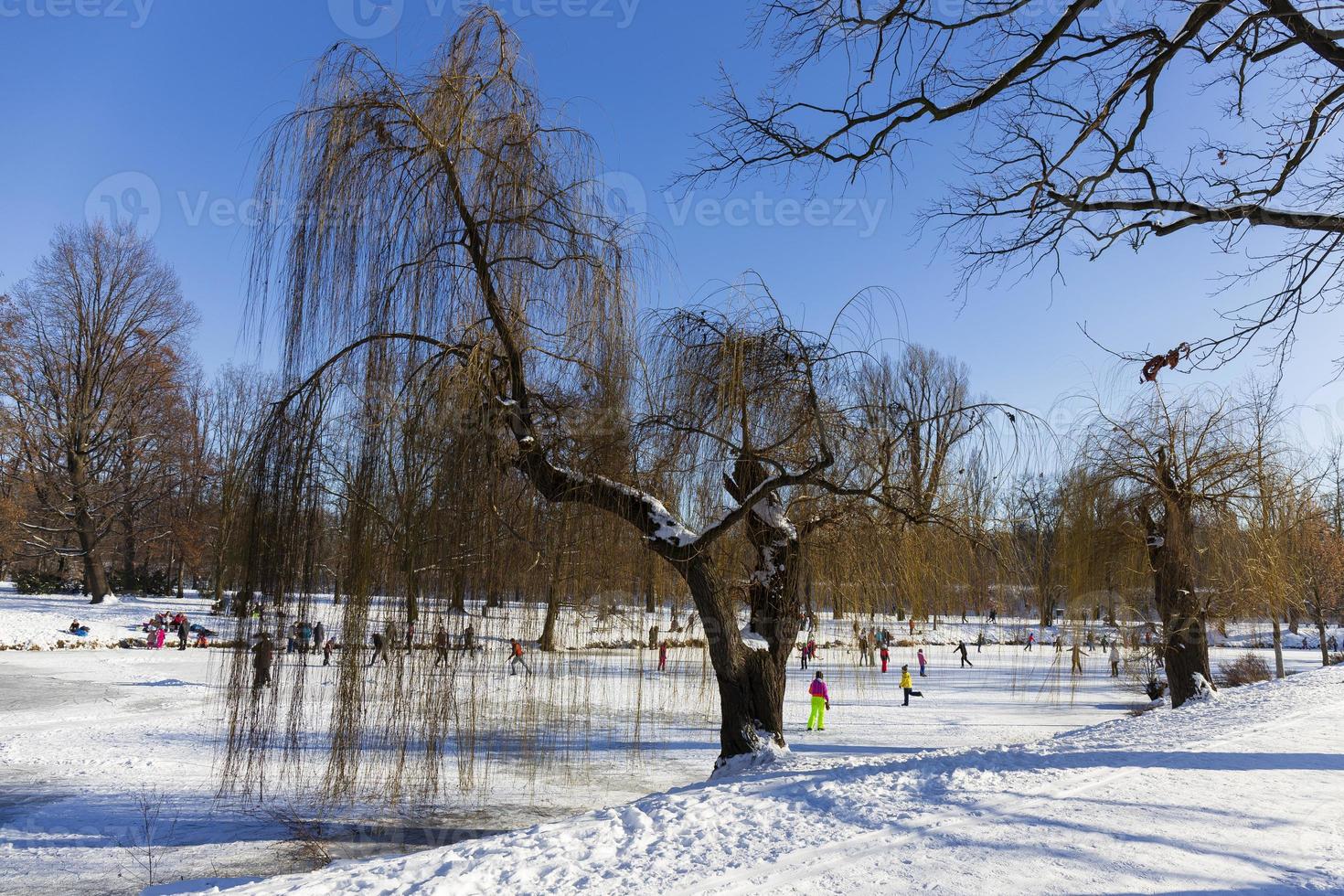 The largest Park in Prague Stromovka in the snowy Winter photo
