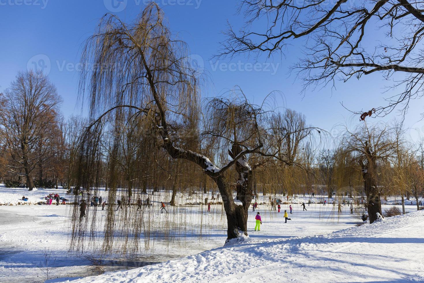 el parque más grande de praga stromovka en el invierno nevado foto