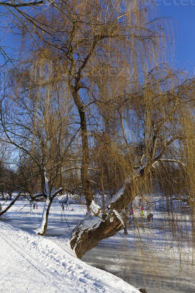 The largest Park in Prague Stromovka in the snowy Winter photo