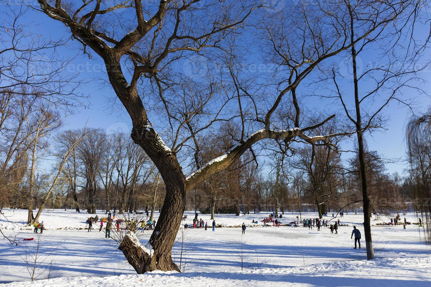 el parque más grande de praga stromovka en el invierno nevado foto