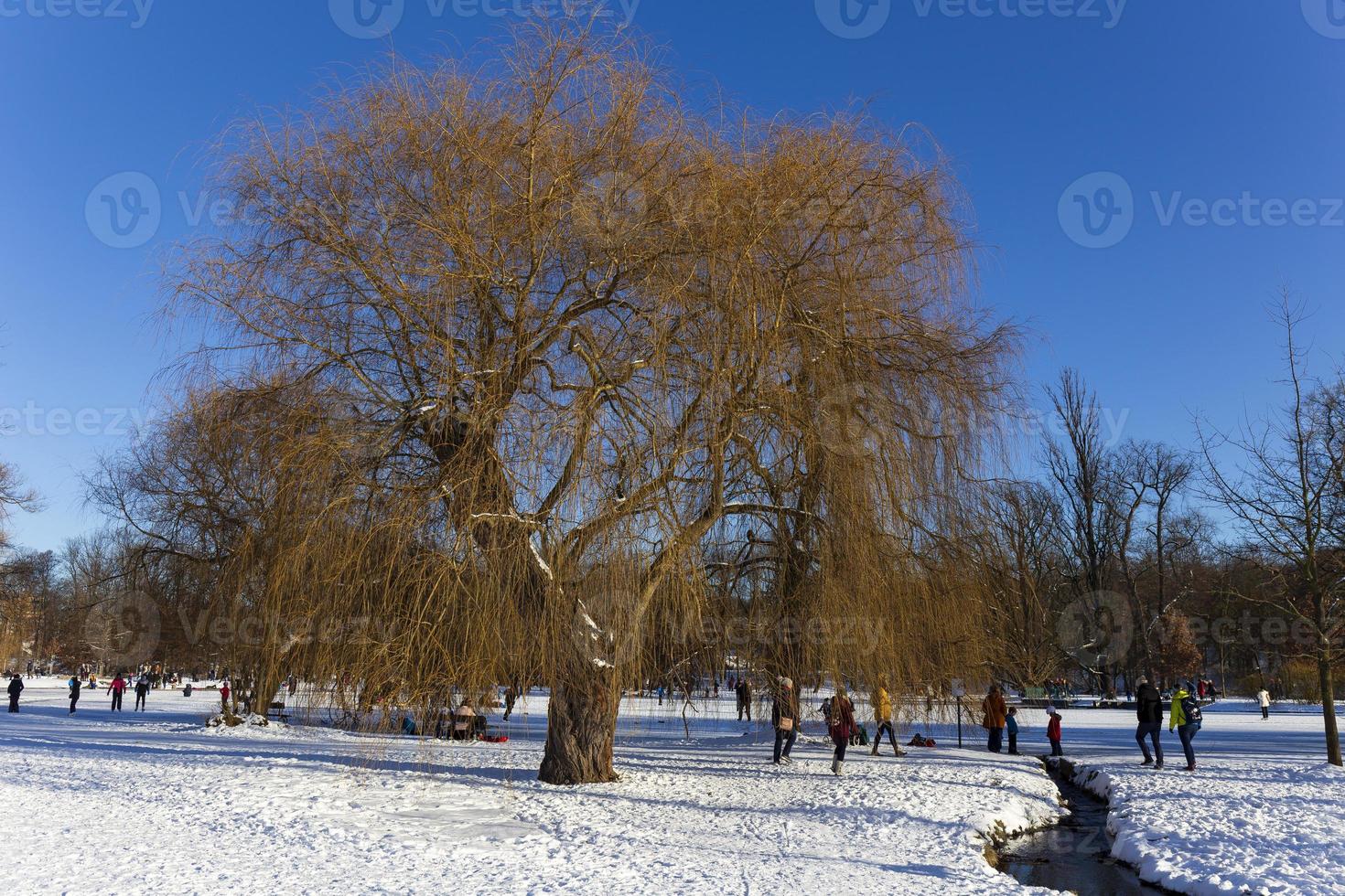 The largest Park in Prague Stromovka in the snowy Winter photo