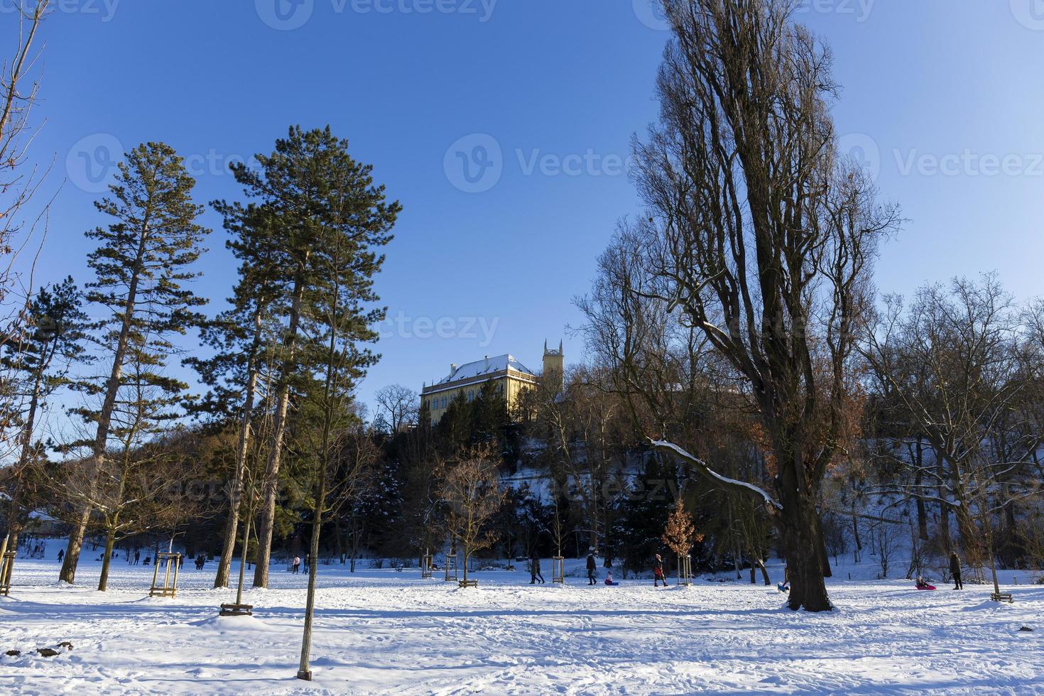 The largest Park in Prague Stromovka in the snowy Winter photo