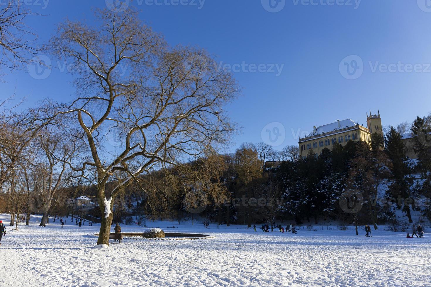 el parque más grande de praga stromovka en el invierno nevado foto