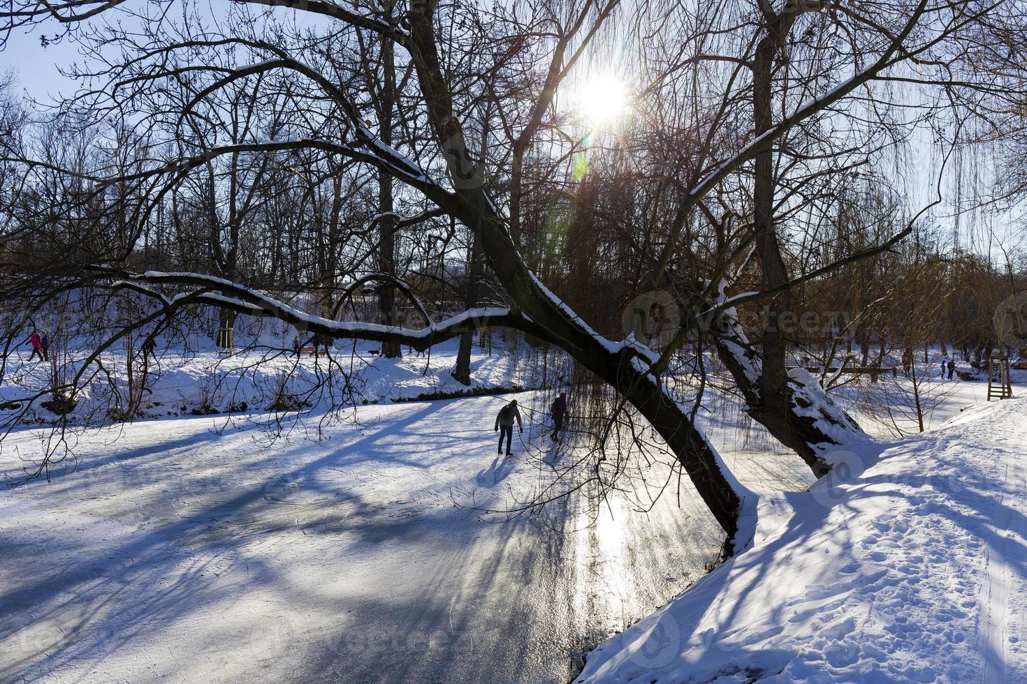 el parque más grande de praga stromovka en el invierno nevado foto