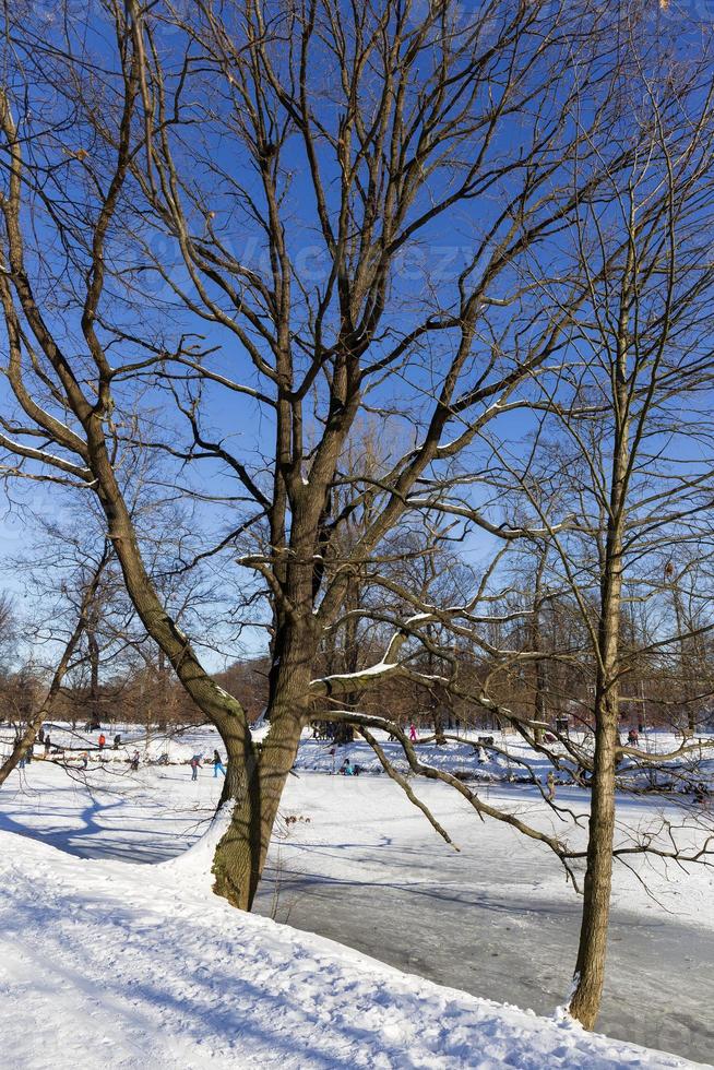 The largest Park in Prague Stromovka in the snowy Winter photo