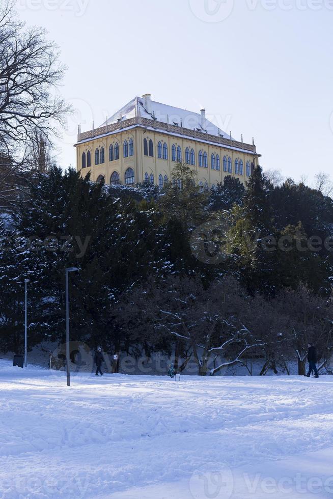 el parque más grande de praga stromovka en el invierno nevado foto