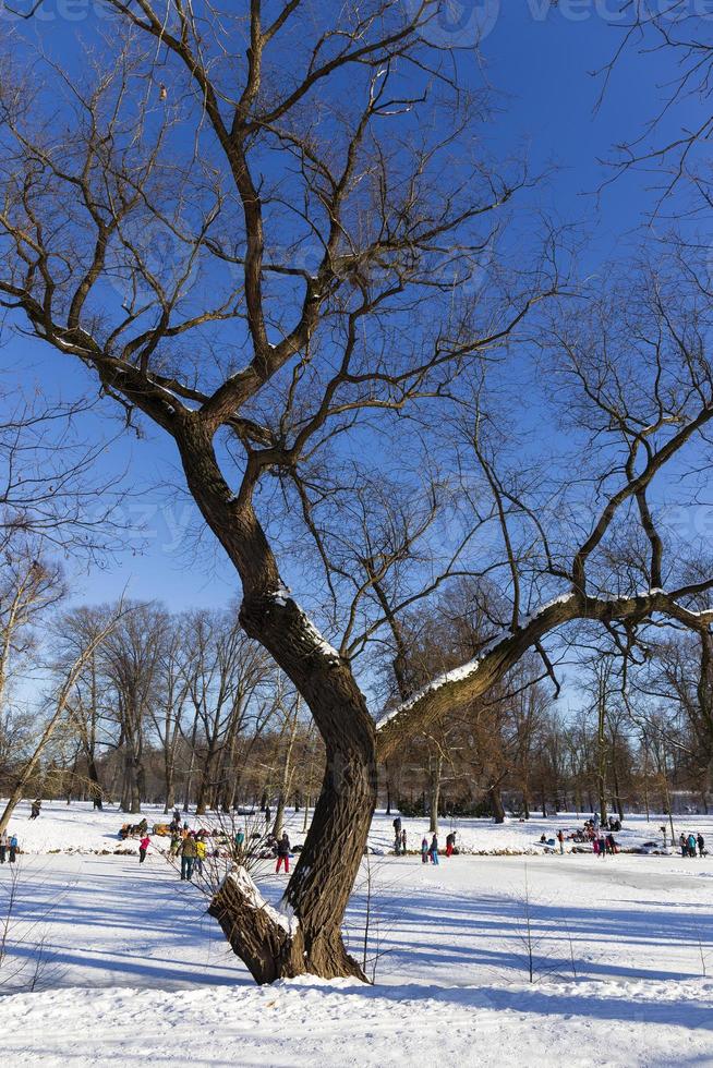 The largest Park in Prague Stromovka in the snowy Winter photo