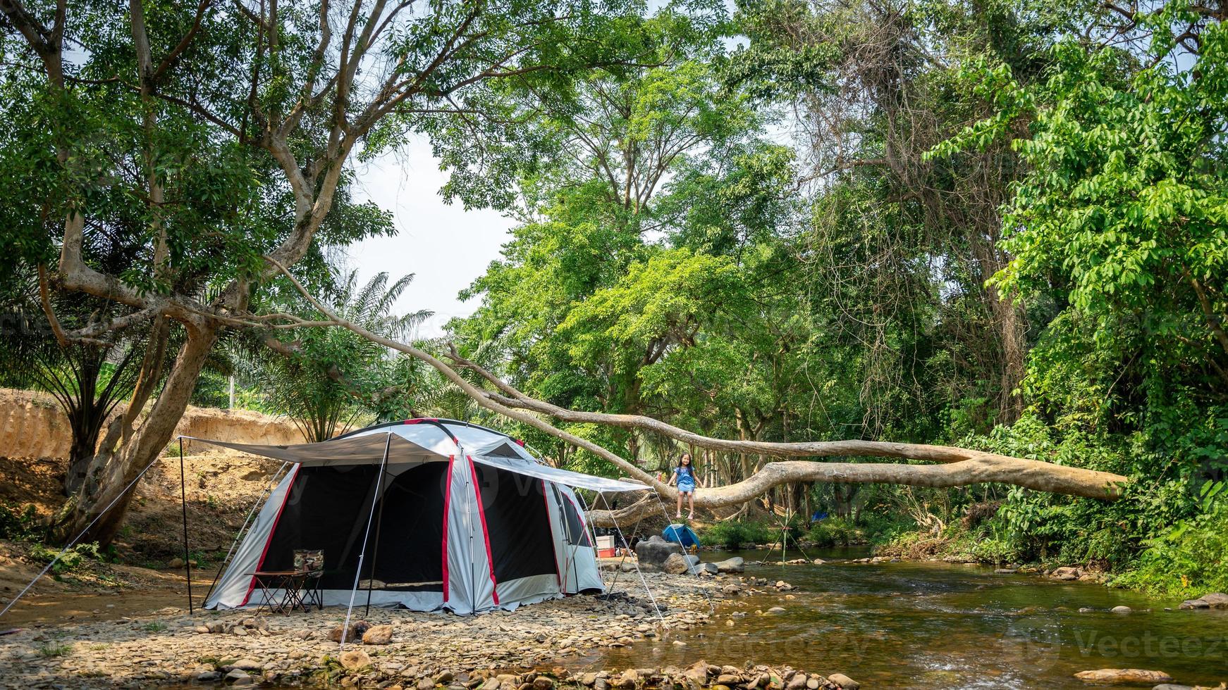 little girl sitting on the tree near tent while going camping photo