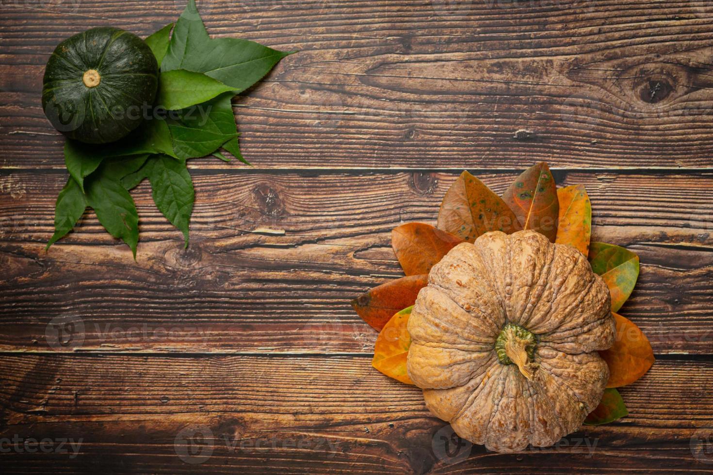 pumpkin placed on wooden floor concept hello september photo