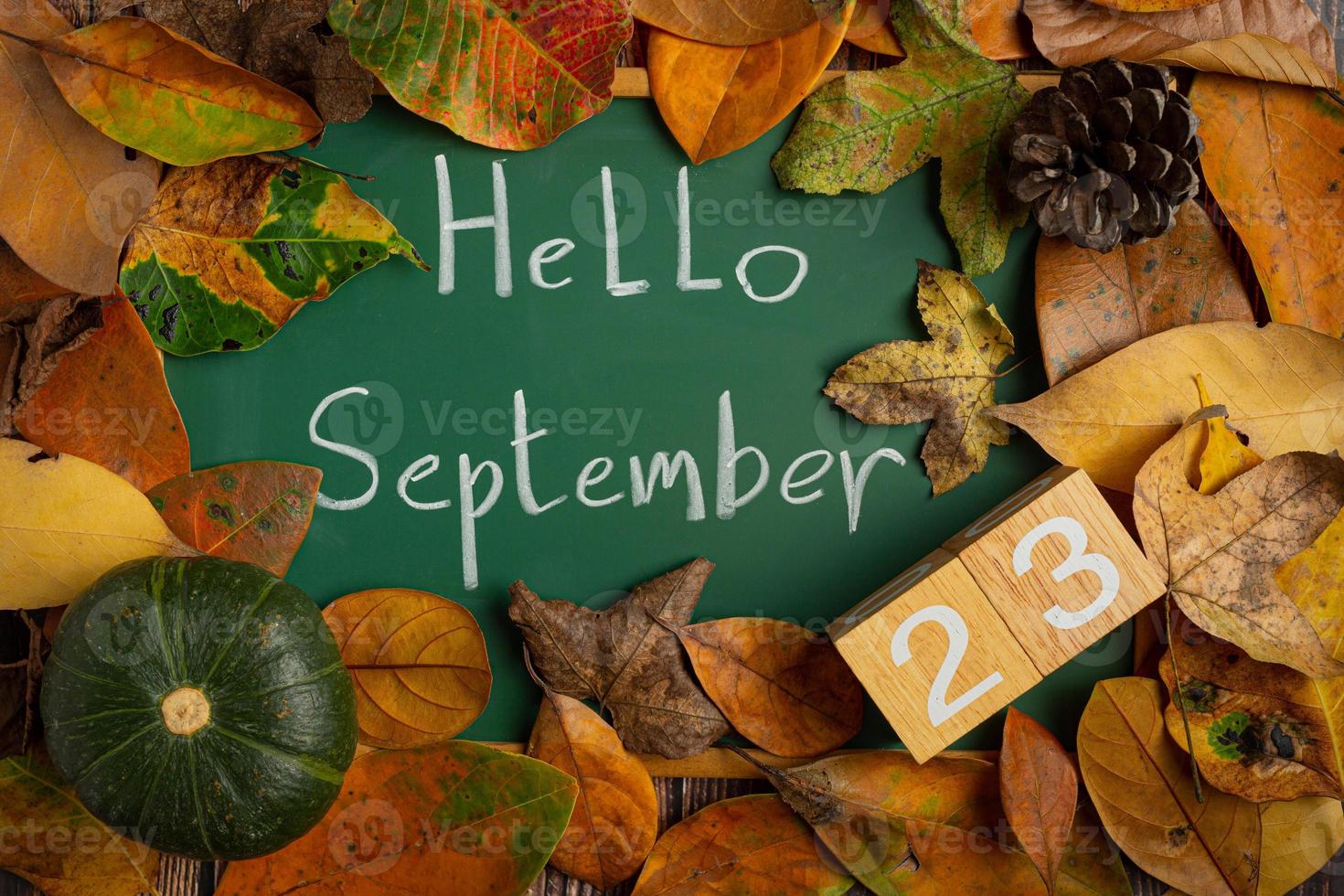 blackboard write a message hello september with leaves placed on top photo