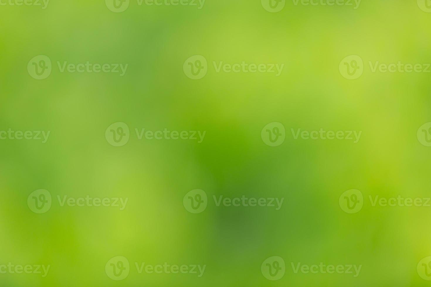 green blur background photo