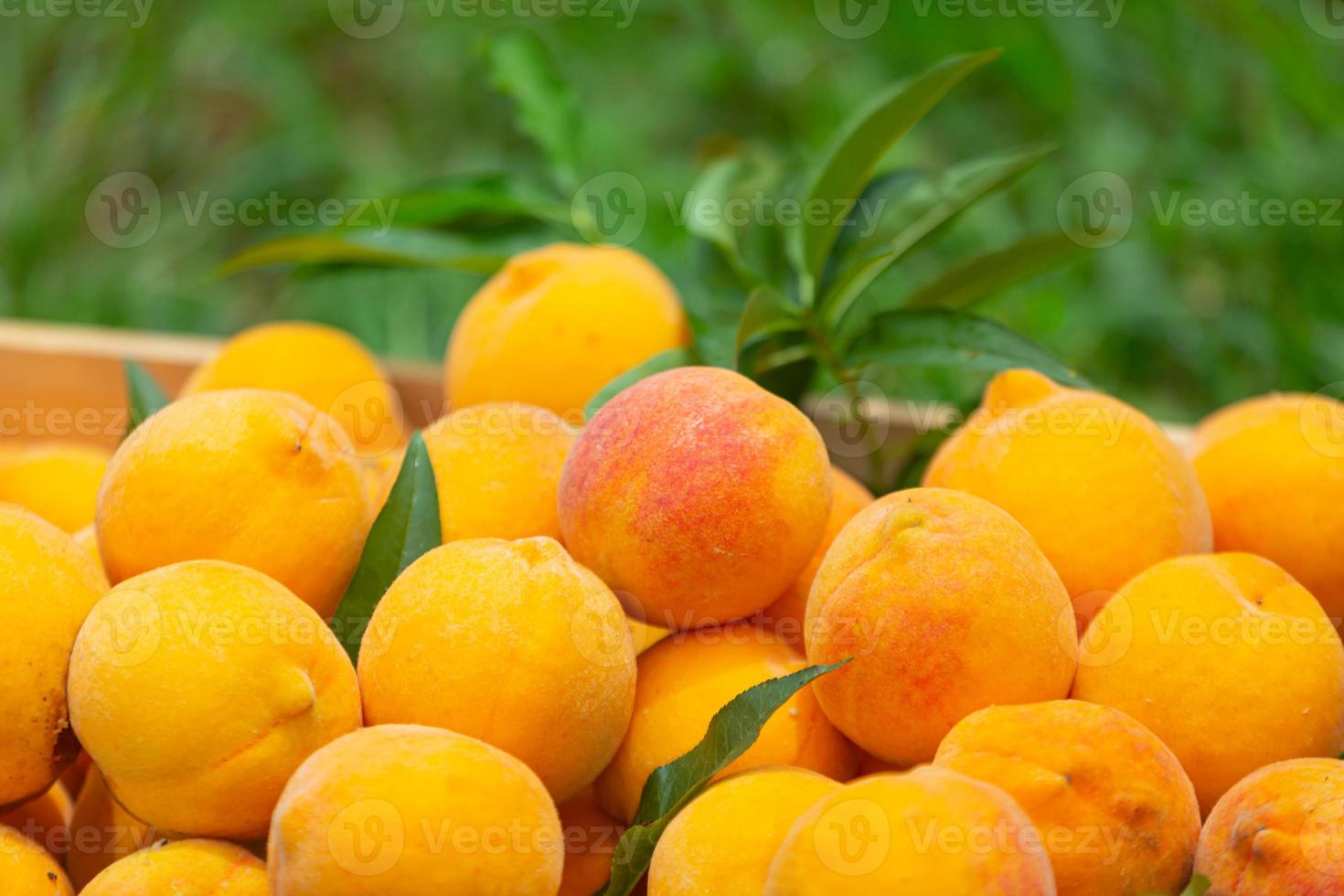 Peaches in a wooden box photo