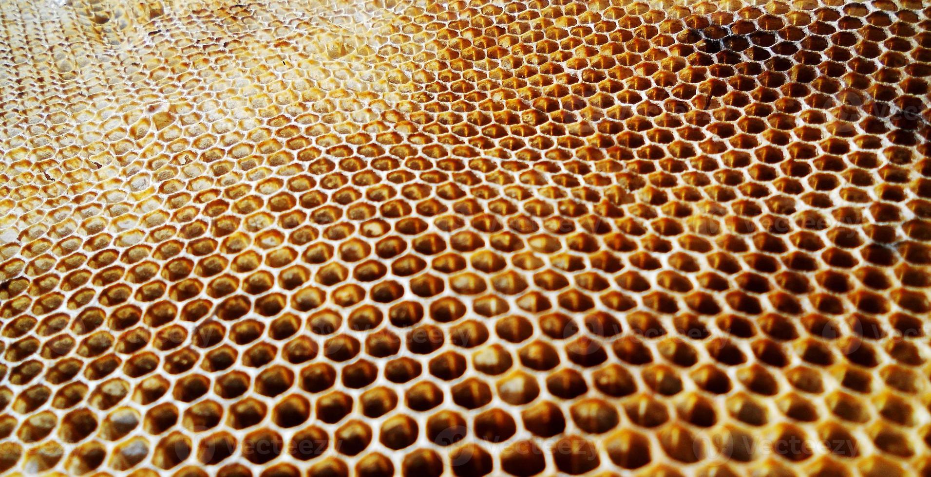 Fondo de textura hexagonal, panal de cera de una colmena de abejas foto