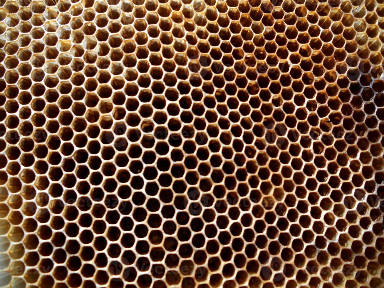 Fondo de textura hexagonal, panal de cera de una colmena de abejas foto