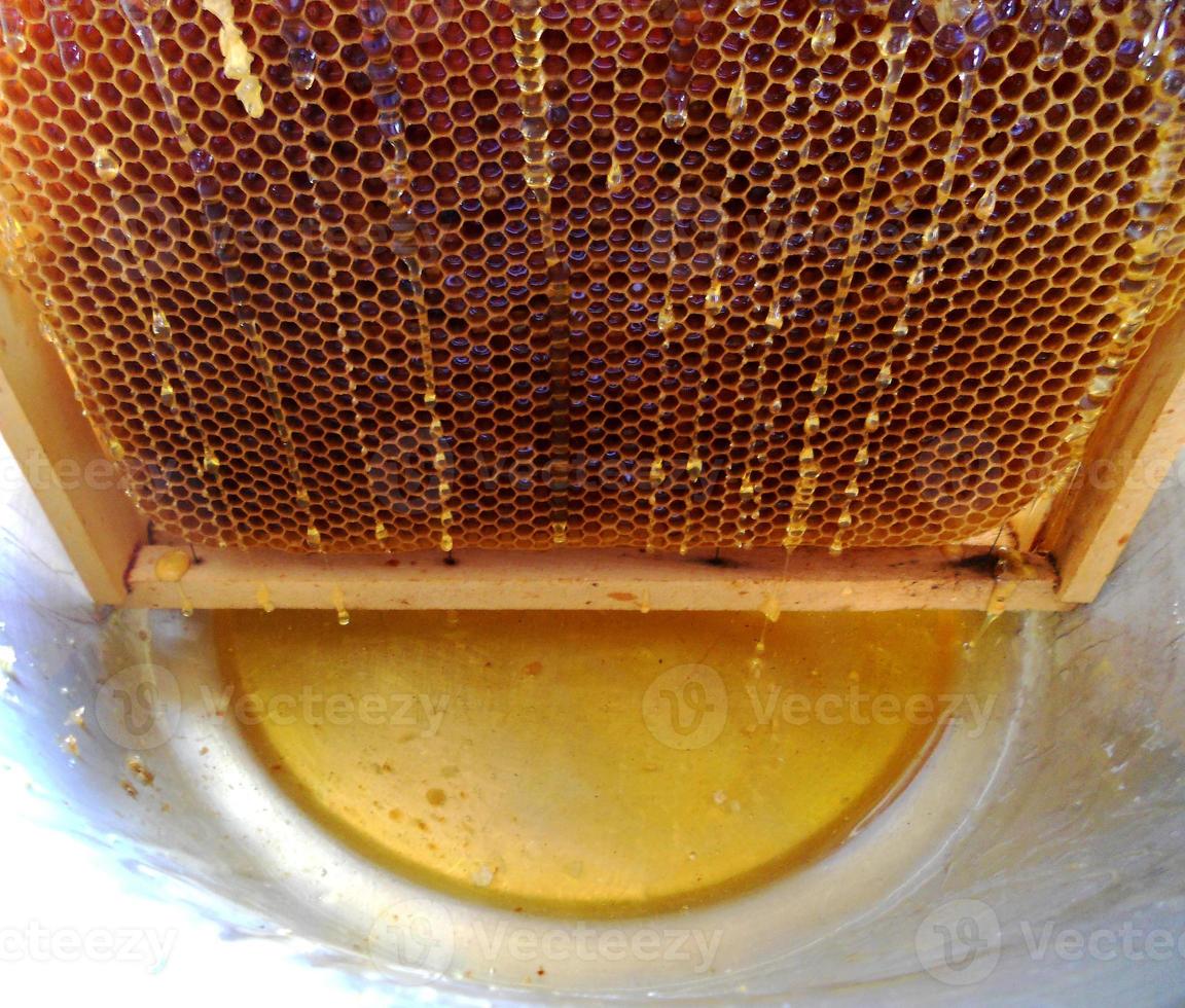 Background hexagon texture, wax honeycomb from a bee hive photo