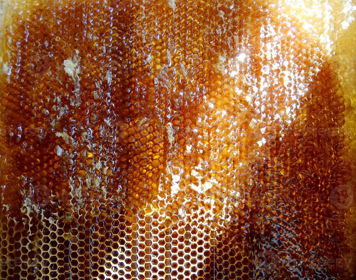 Background hexagon texture, wax honeycomb from a bee hive photo