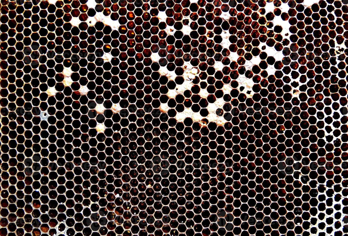 Background hexagon texture, wax honeycomb from a bee hive photo