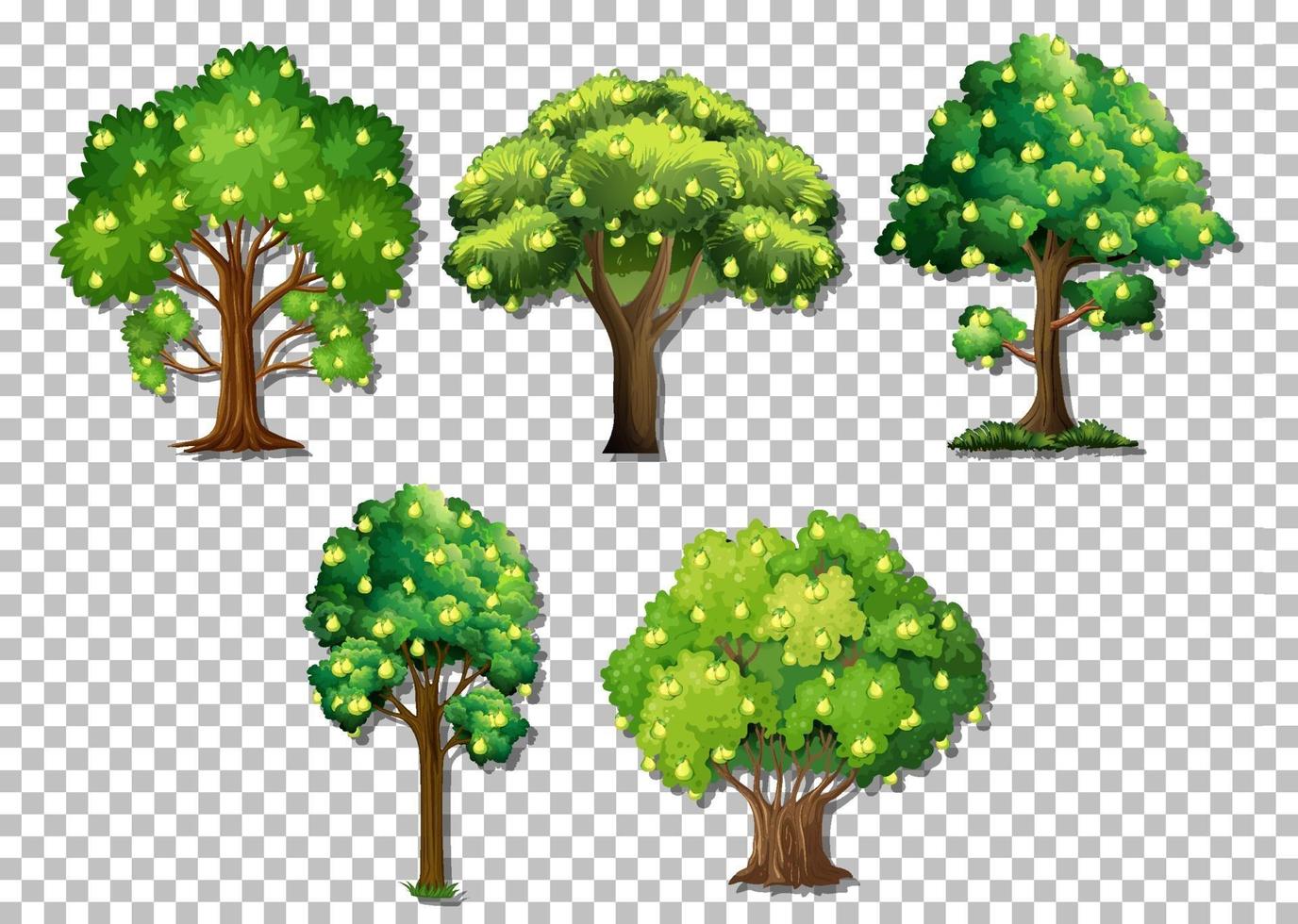 Set of different trees vector