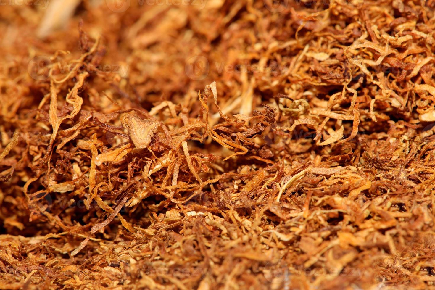 Rolling tobacco leaves close up modern background stock photography photo