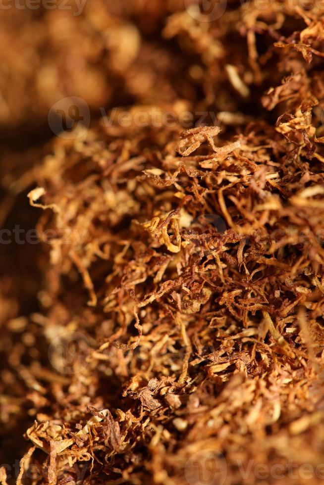 Rolling tobacco leaves close up modern background stock photography photo