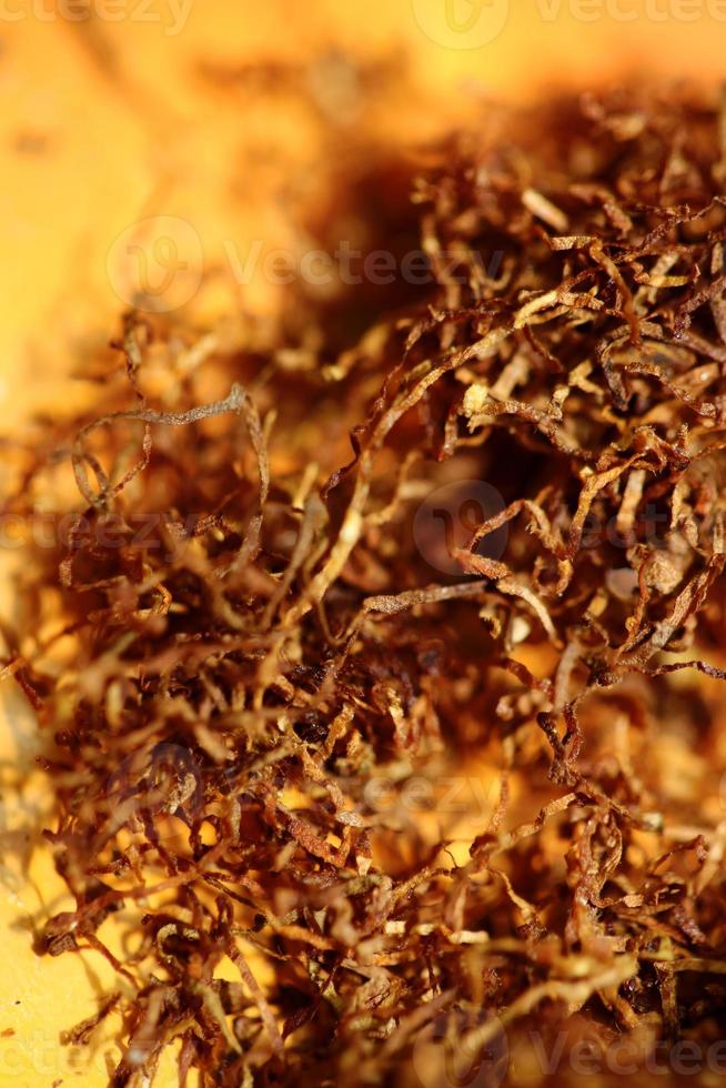 Rolling smoking tobacco leaves macro modern prints stock photography photo