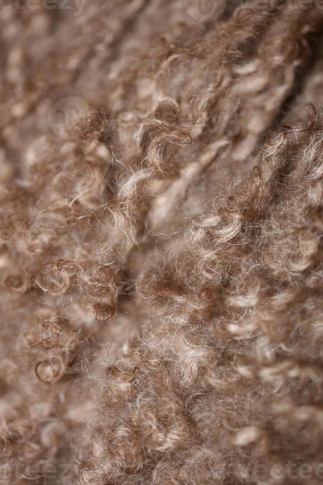 Dog brown curly hairs close up lagotto romagnolo abstract background photo