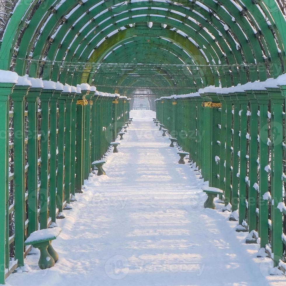 Arco de enrejado verde en Alley Summer Garden Park en San Petersburgo. foto