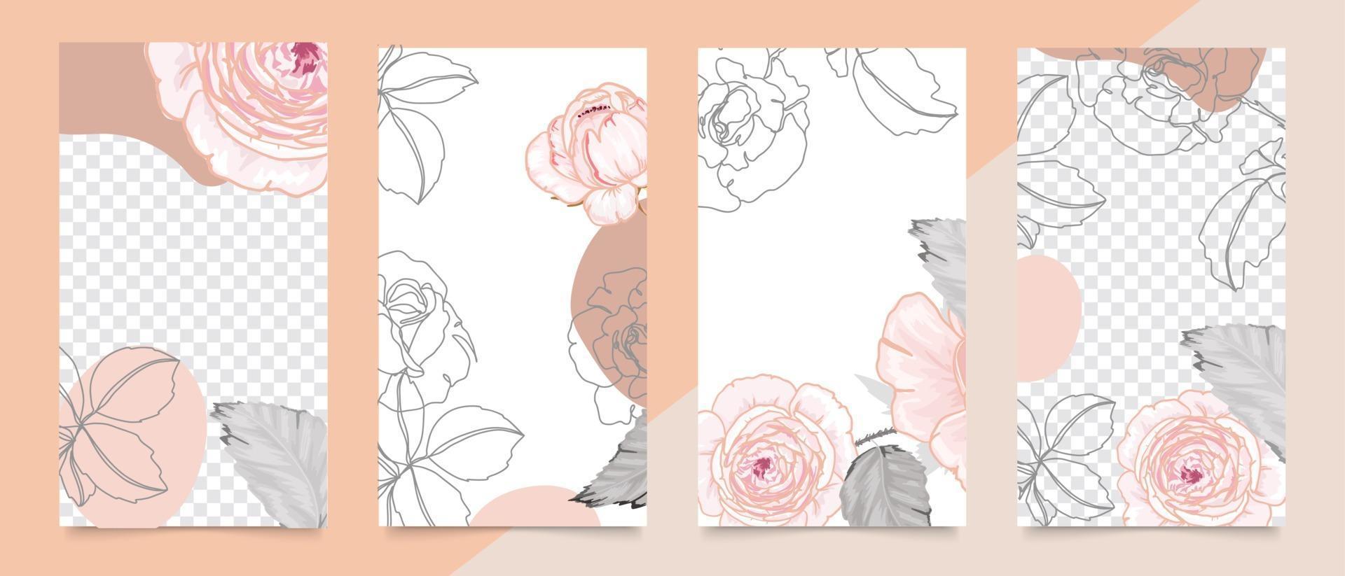 Cover template with pink rose line art. Floral background vector
