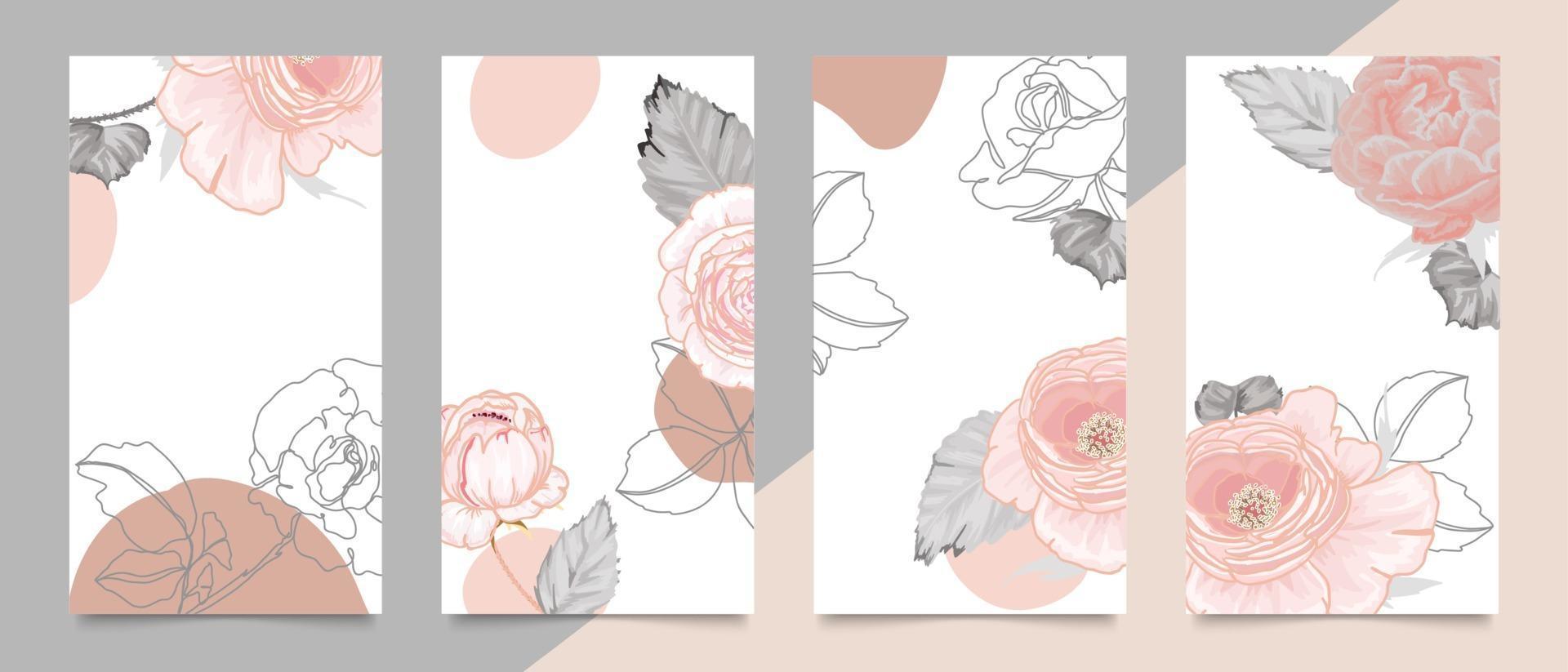 Cover template with pink rose line art. Floral background vector