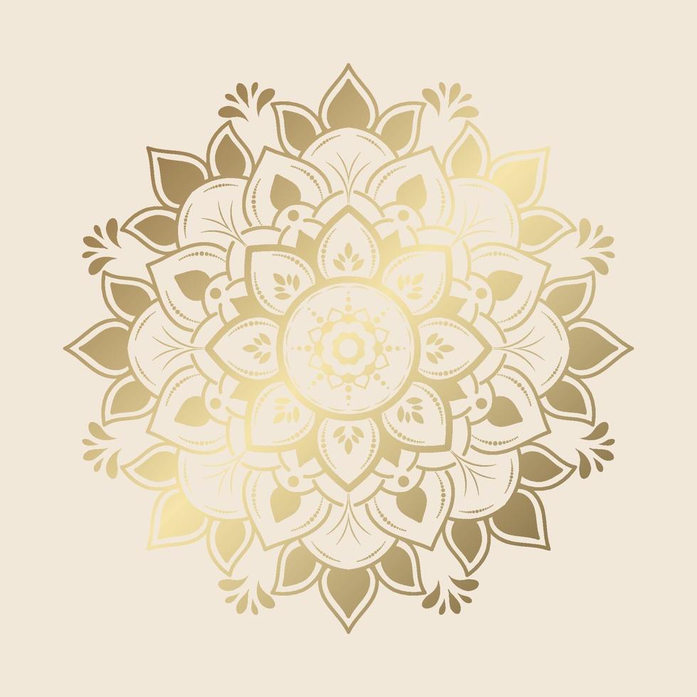 Mandala pattern design with hand drawn vector