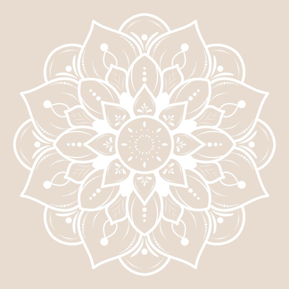 Mandala pattern design with hand drawn vector