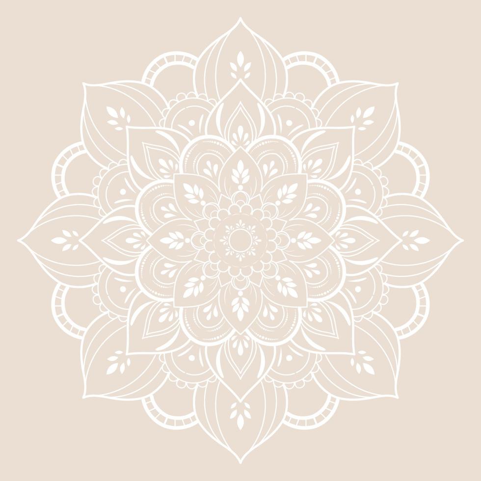 Mandala pattern design with hand drawn vector