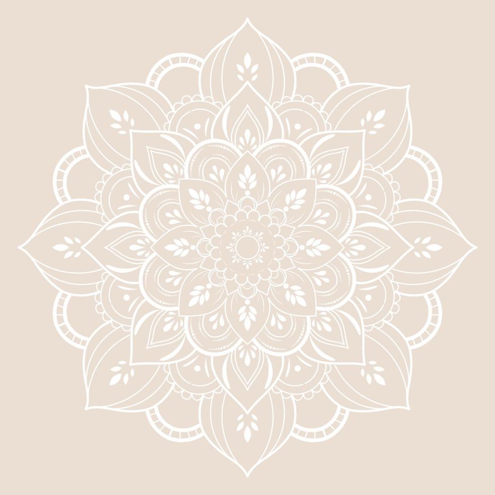 Mandala pattern design with hand drawn vector