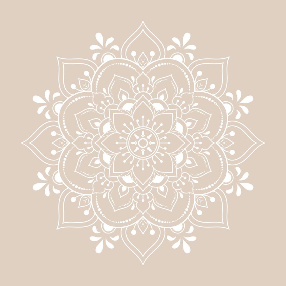 Mandala pattern design with hand drawn vector