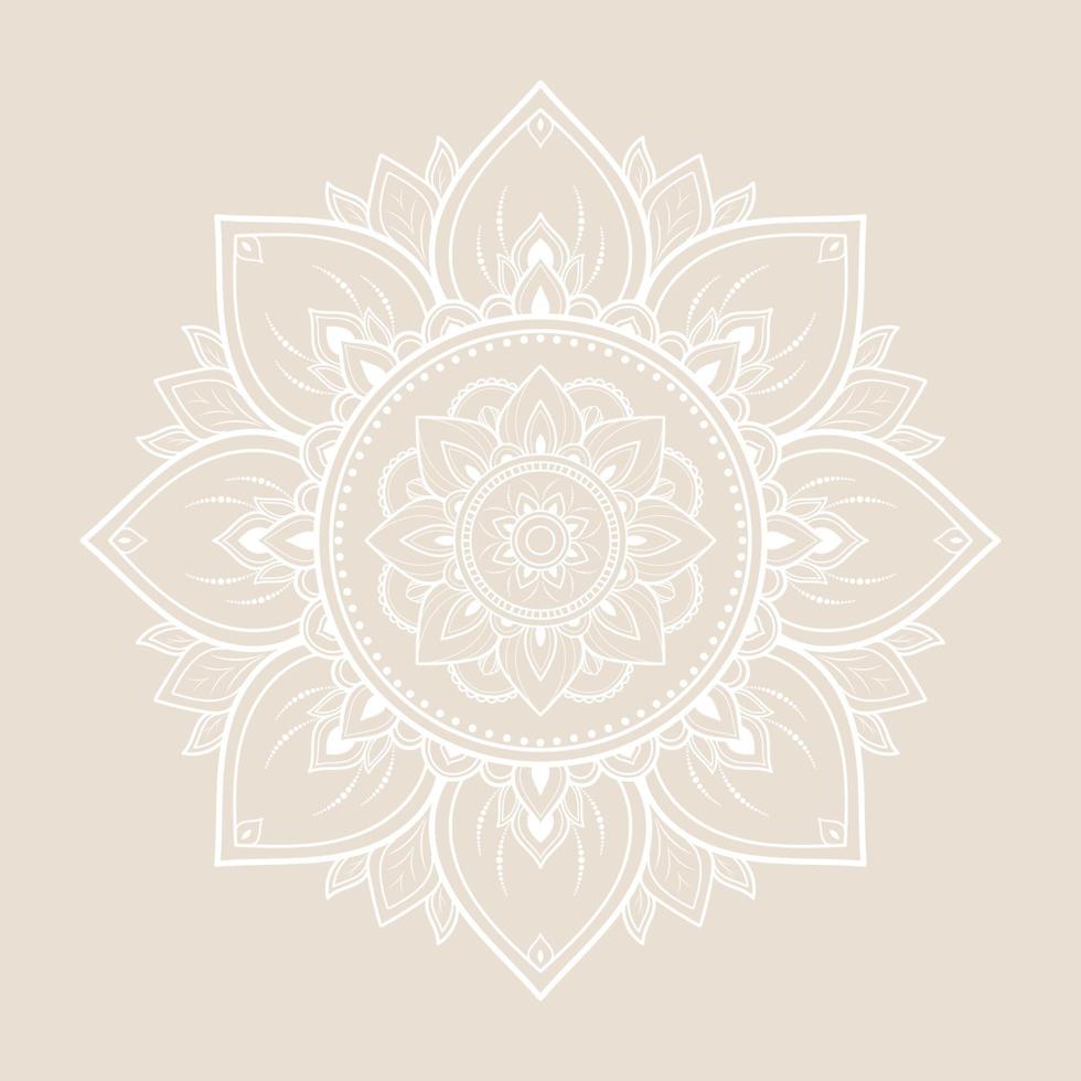 Mandala pattern design with hand drawn vector