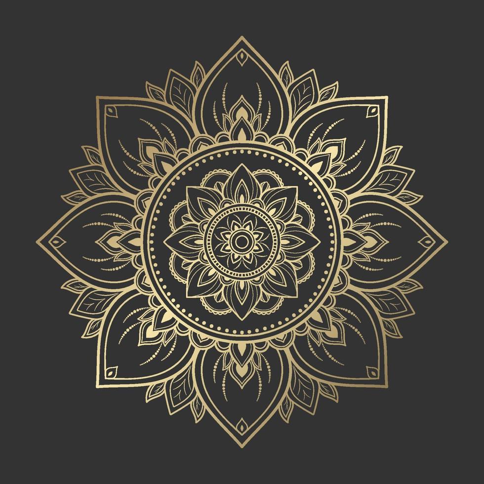 Mandala pattern design with hand drawn vector