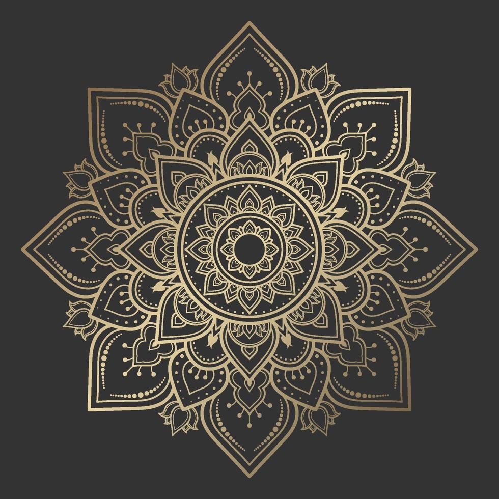 Mandala pattern design with hand drawn vector