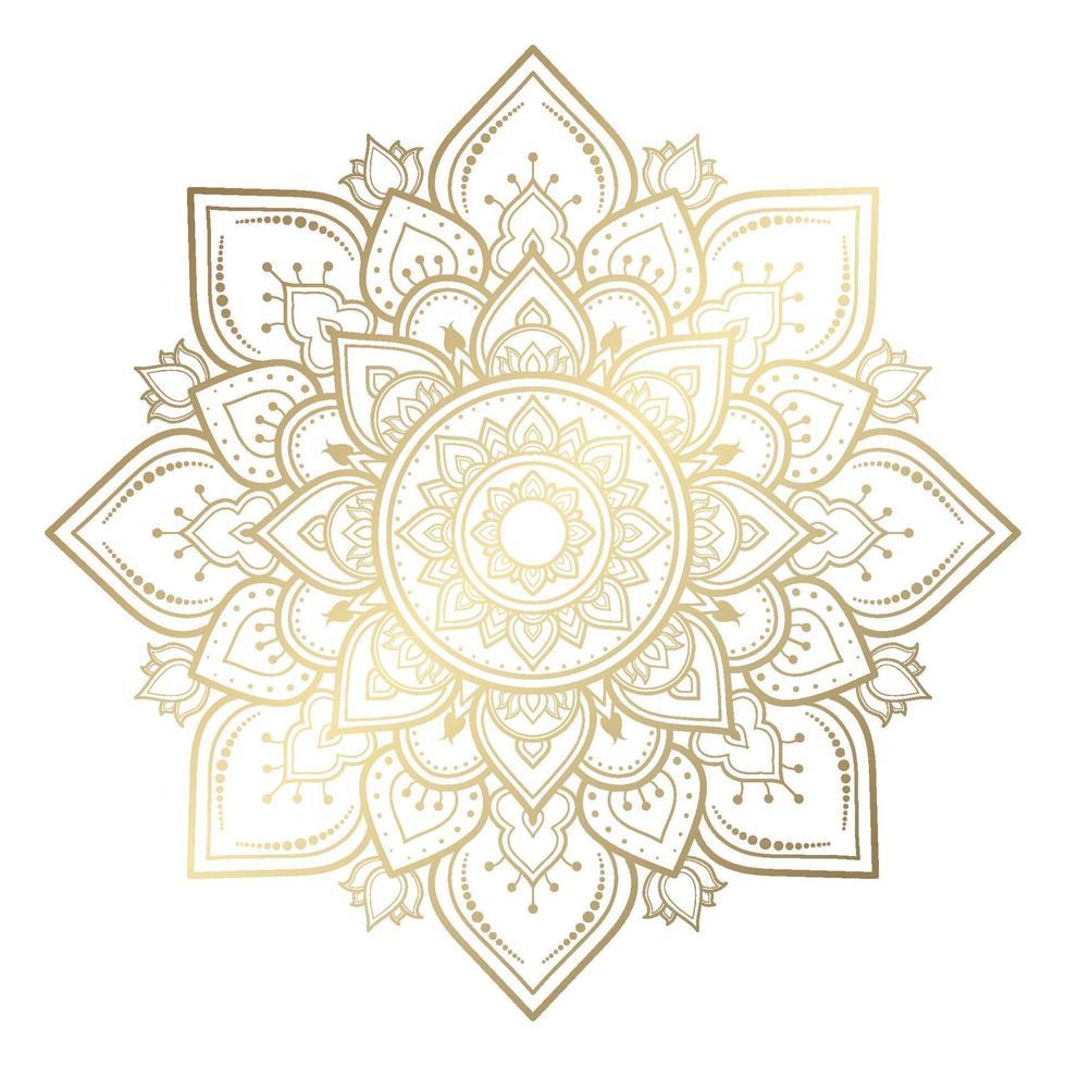 Mandala pattern design with hand drawn vector