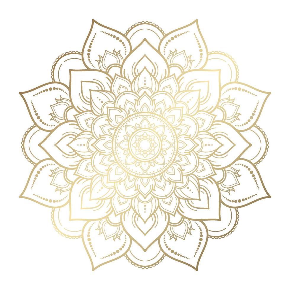 Mandala pattern design with hand drawn vector