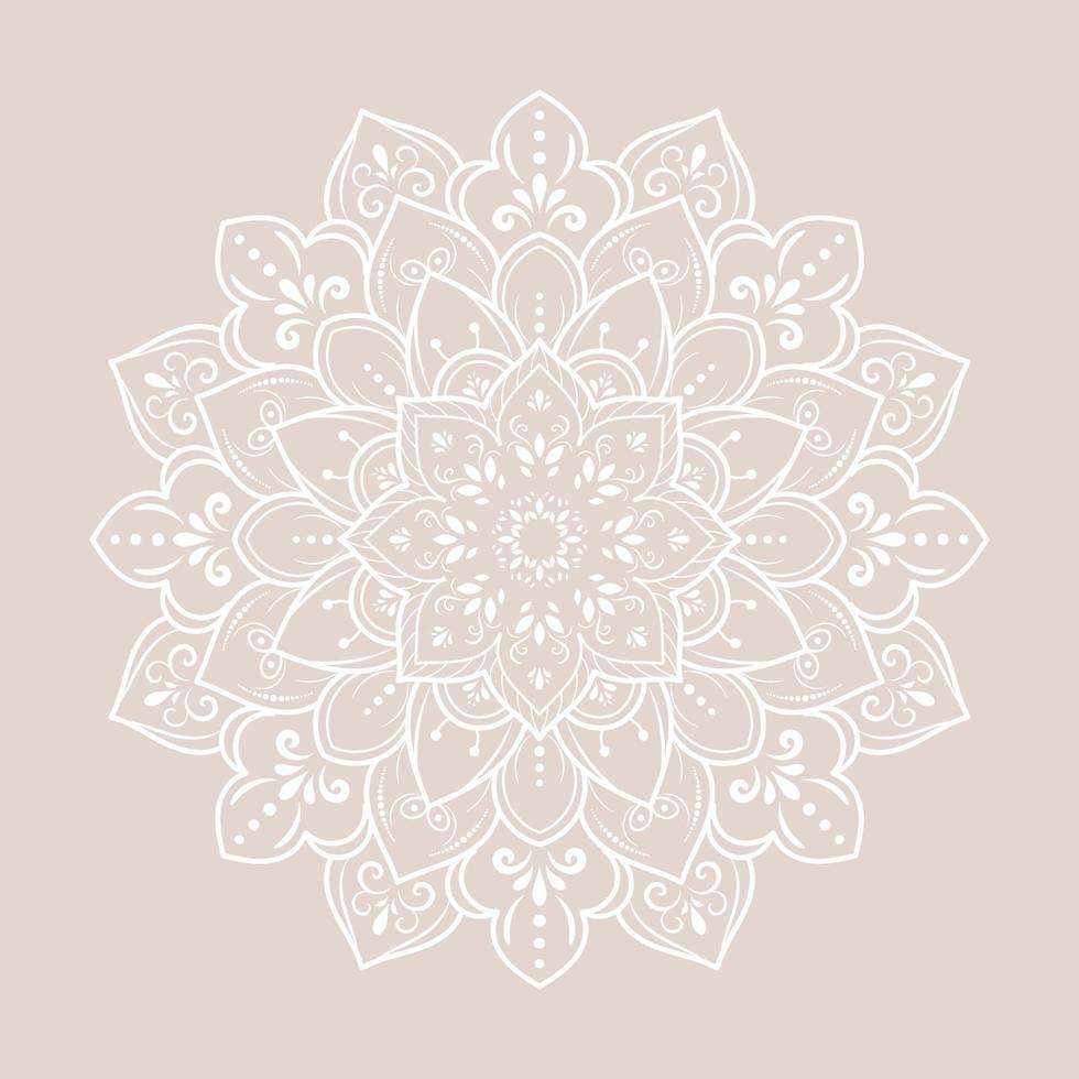 Mandala pattern design with hand drawn vector