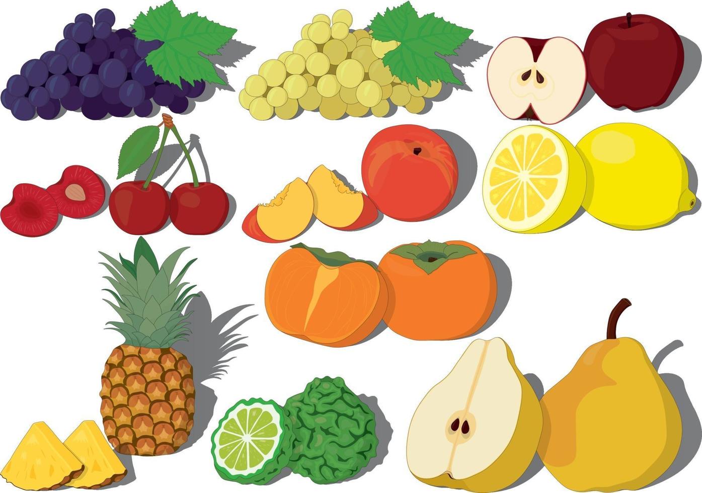 Fresh sweet fruits collection vector illustration