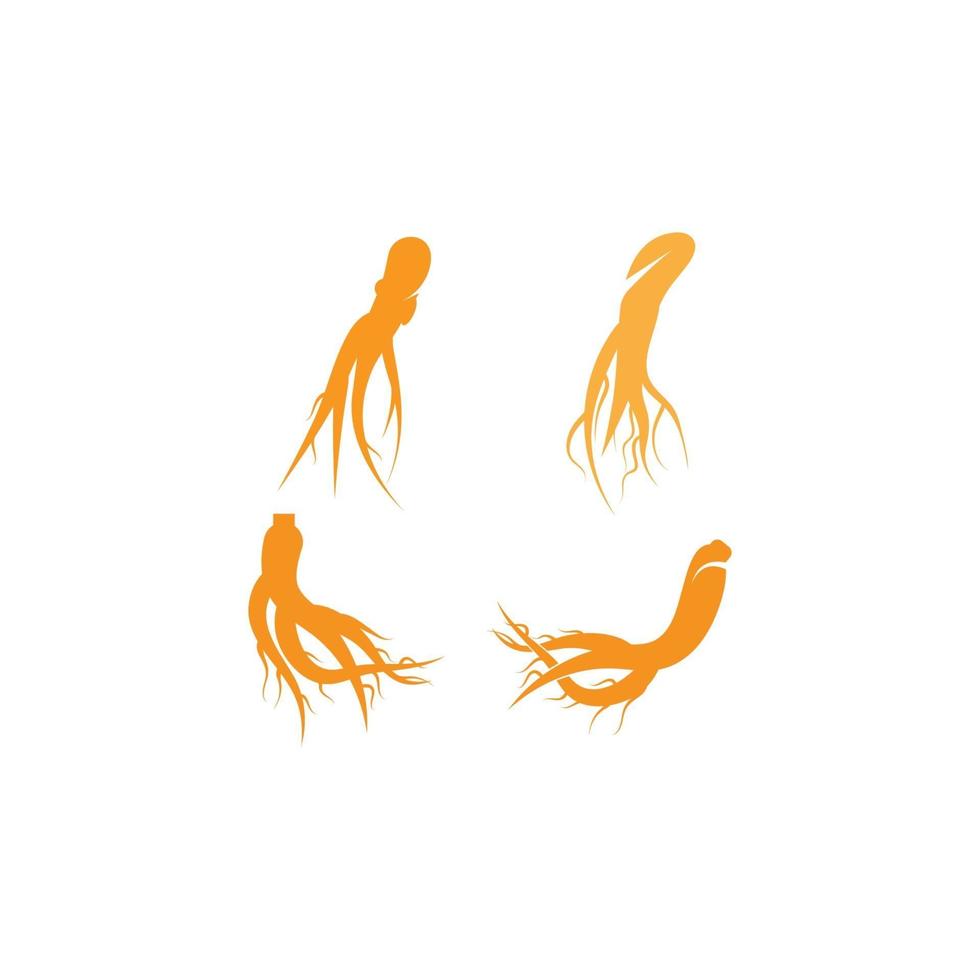 logotipo de ilustración de ginseng vector