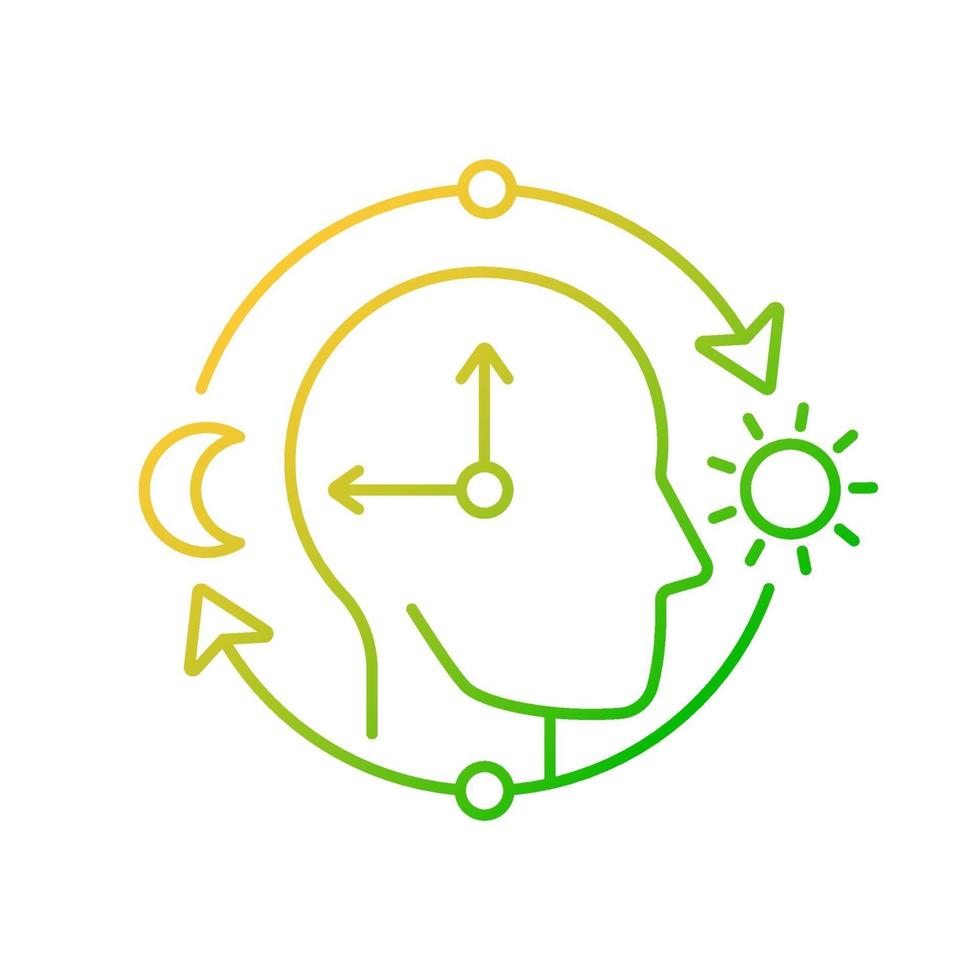 Circadian rhythms gradient linear vector icon