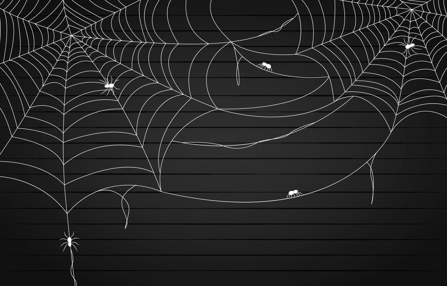 Spider Web On The Wall vector