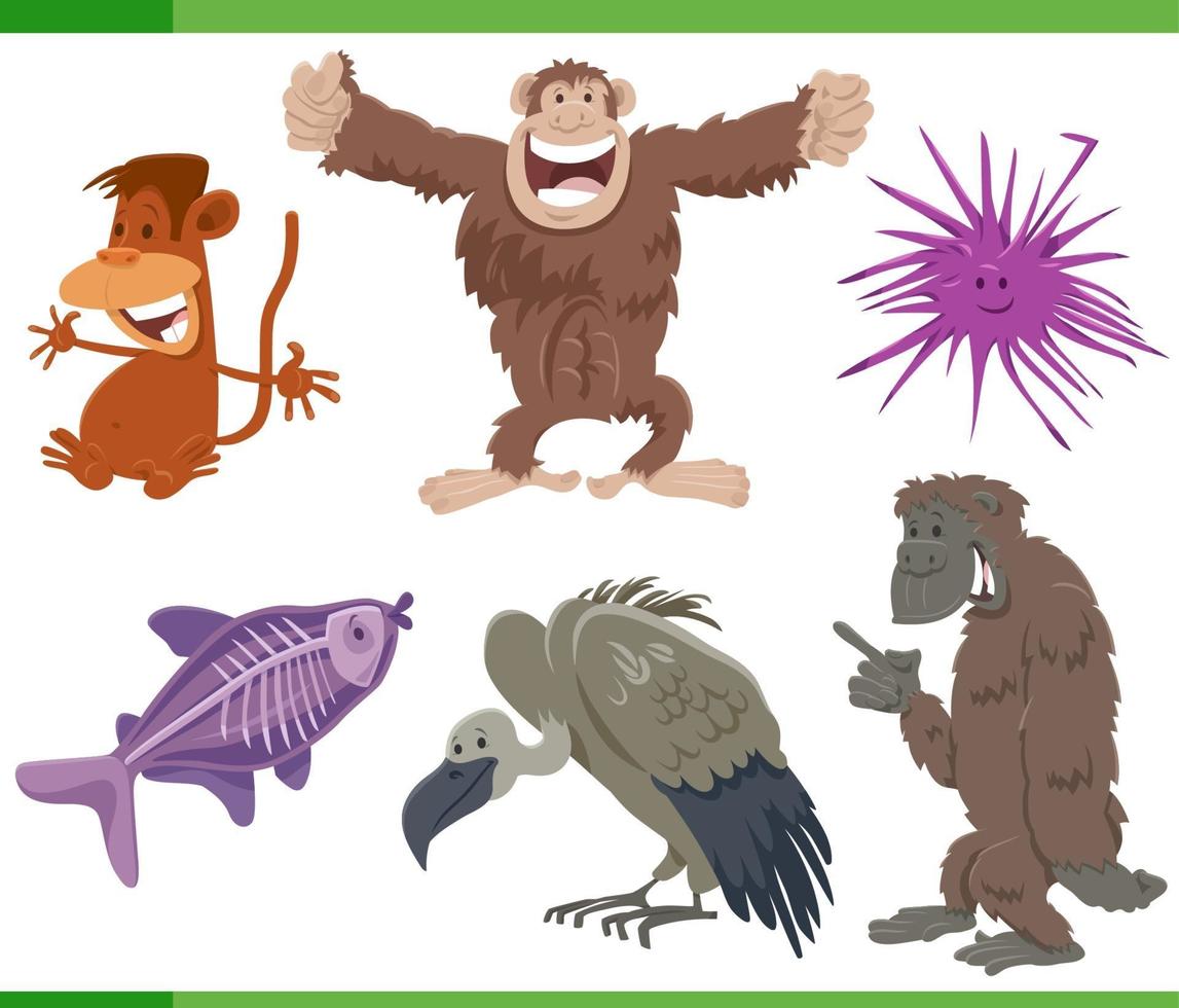 funny cartoon wild animals species characters set vector