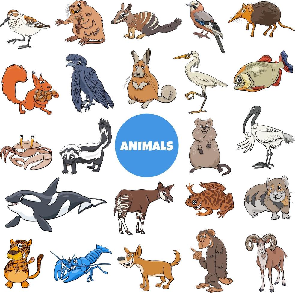 dibujos animados de personajes de especies de animales salvajes gran  conjunto 3100327 Vector en Vecteezy