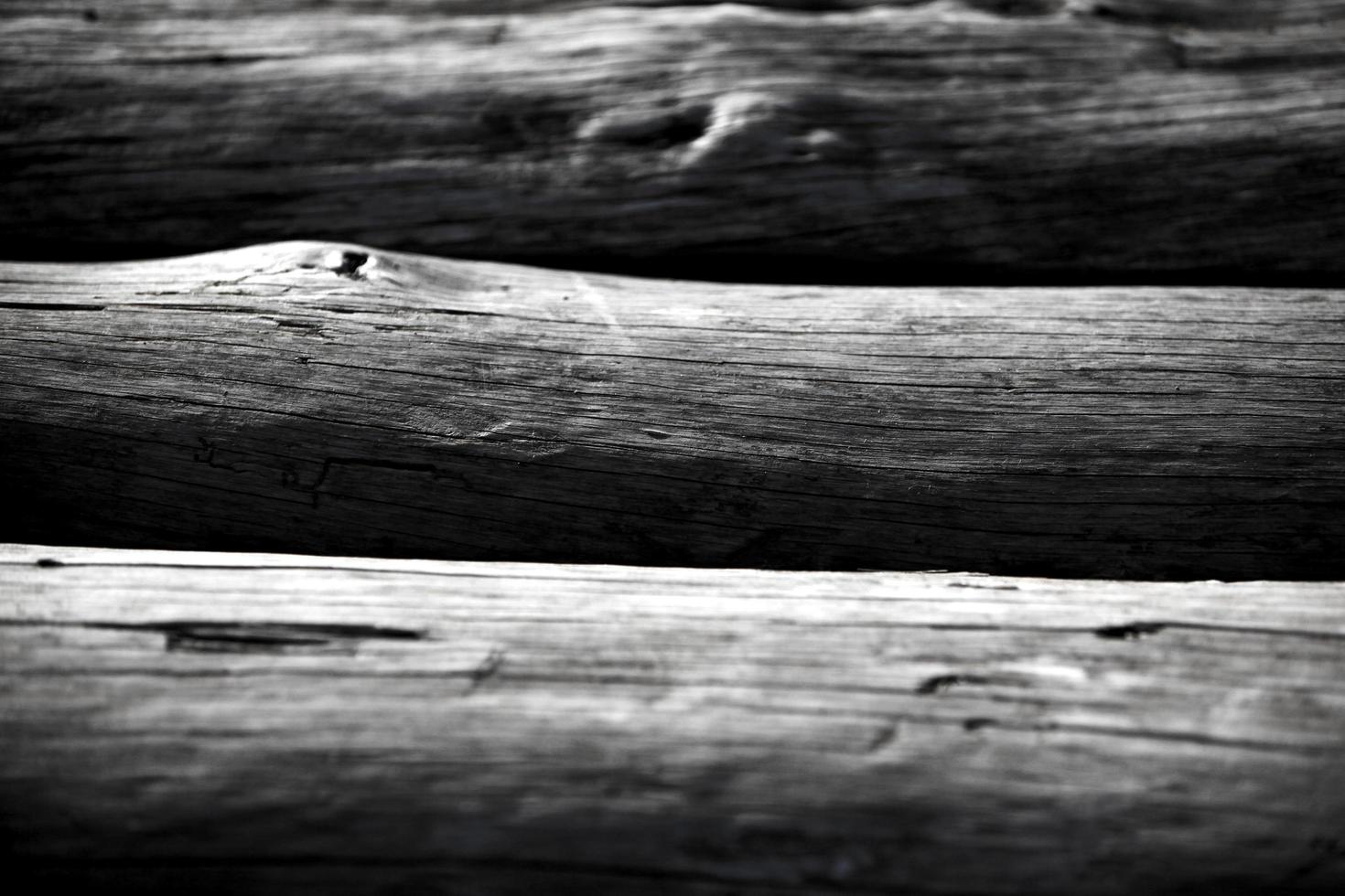 tronco de madera cortada en la naturaleza foto