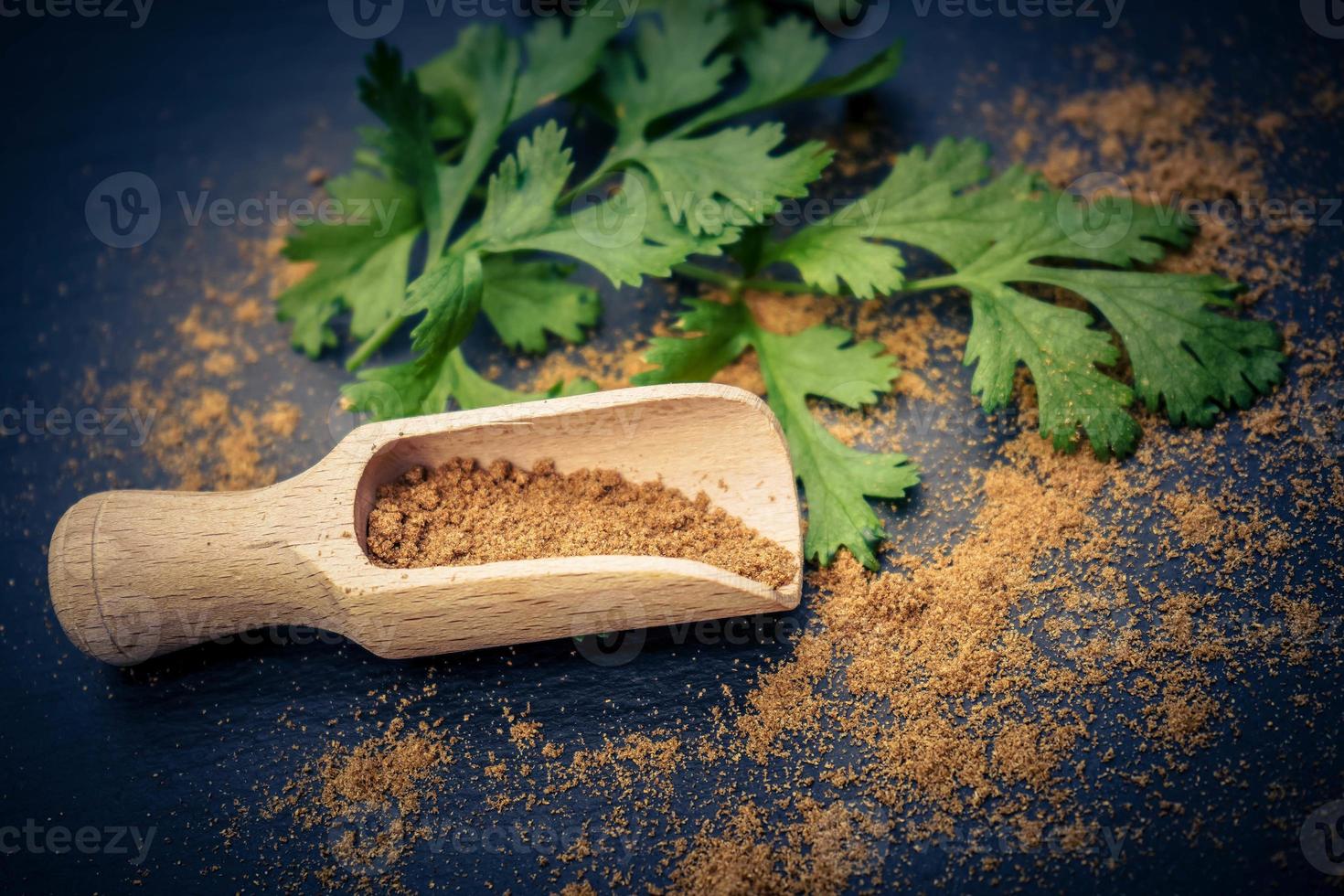 polvo de cilantro marrón y cuchara de madera foto